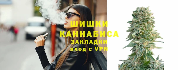 индика Белоозёрский