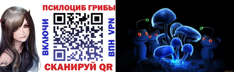 кракен tor купить наркотик Усть-Илимск Галлюциногенные грибы Psilocybe